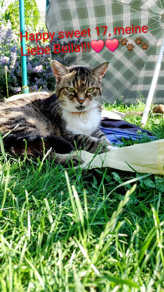 Dein geliebter Garten