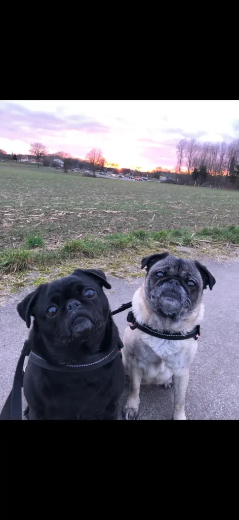 Maila mit ihrer Mama Diva