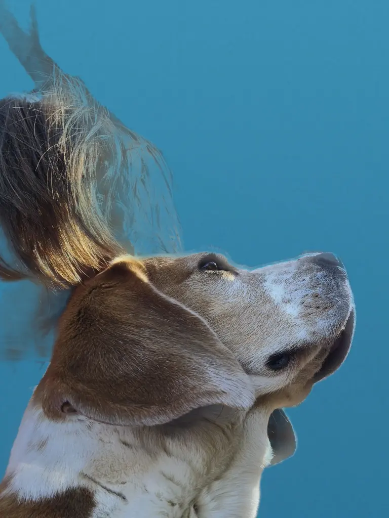 Wir sehen uns wieder!