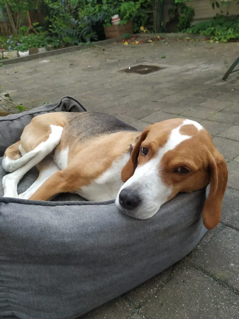 Image from Zutaten