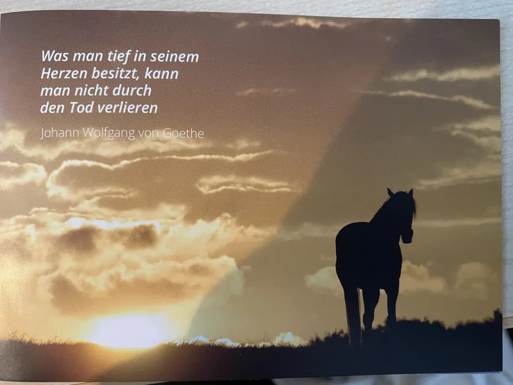 Condolence image of Konny mit Piccolino-Fly tief im. ❤️