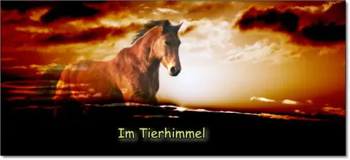 Condolence image of Run free.