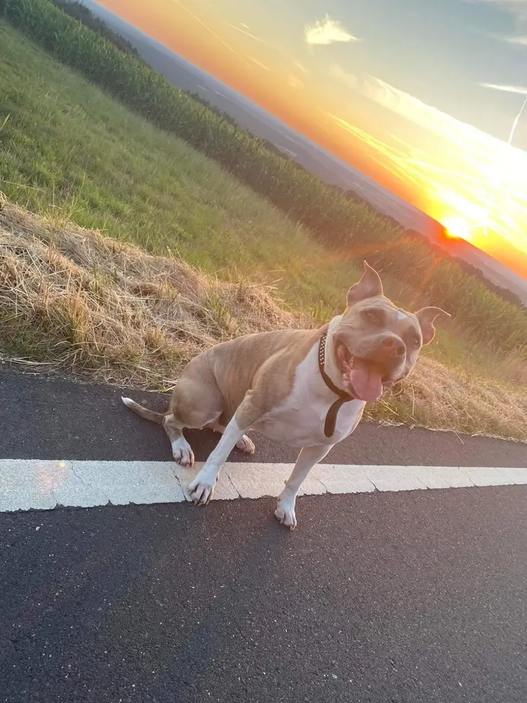 Condolence image of Stephanie