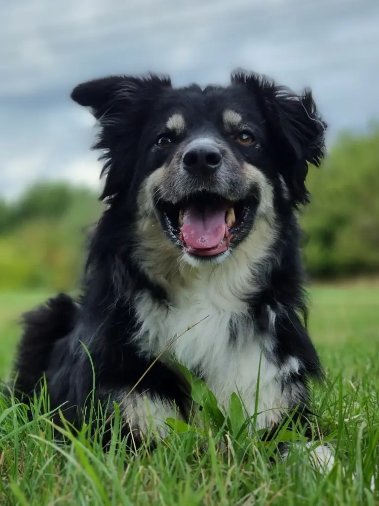 Condolence image of Steffi