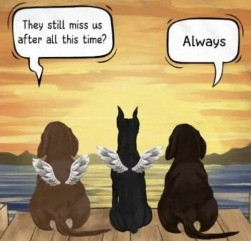 Condolence image of Kerstin mit Linus im ❤️