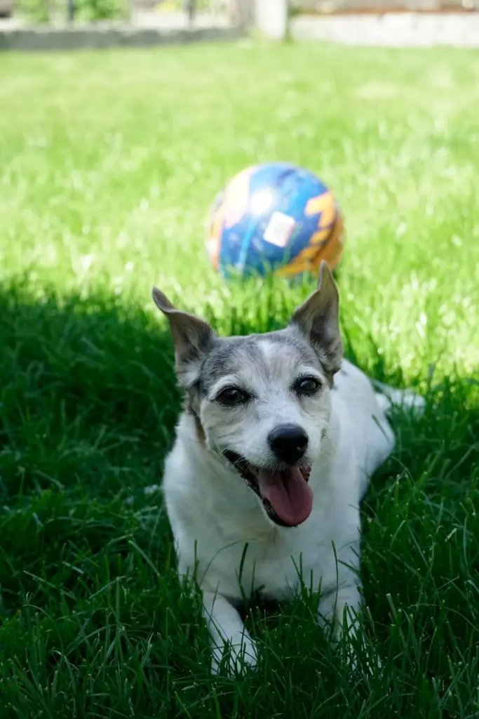 Andachtsbild von Christine Schweyer - Jänisch