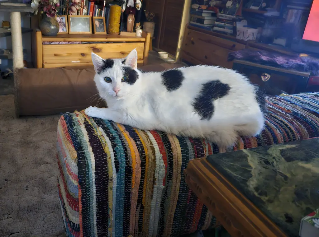 Image from Kater