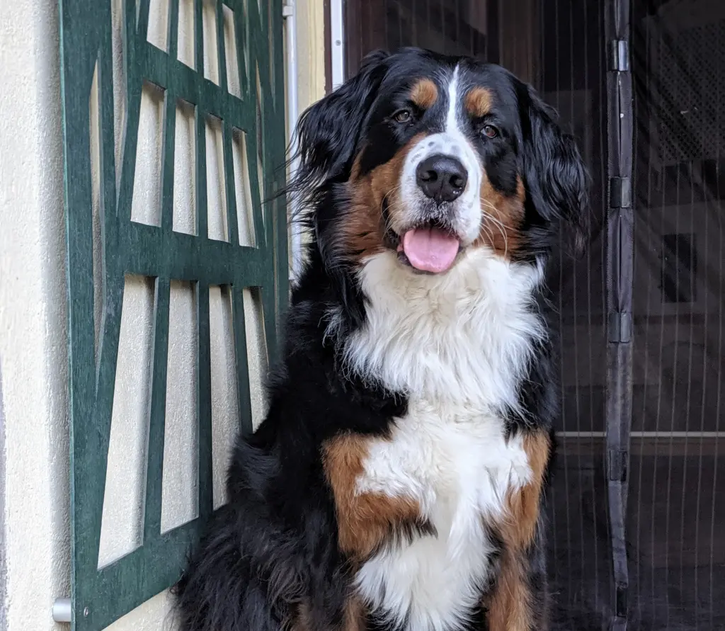 Bild von Bonnie