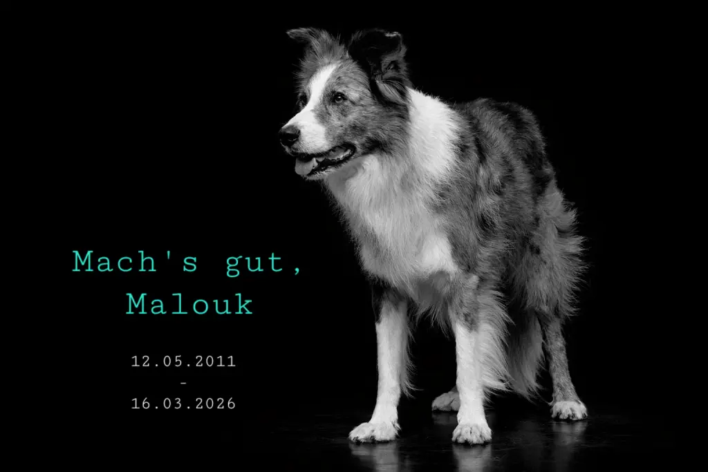 Condolence image of Jule