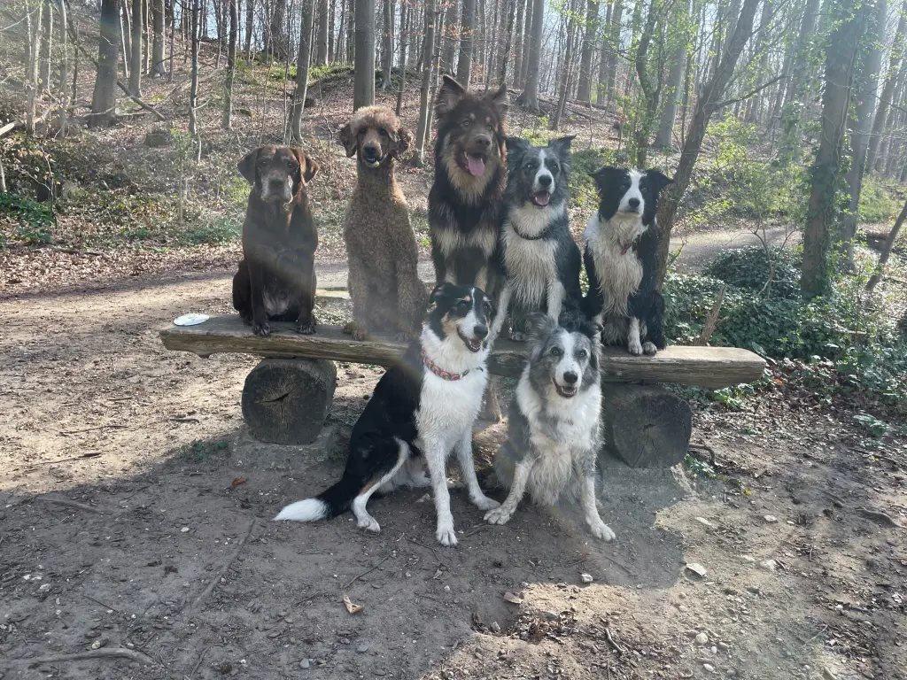 Condolence image of Julia Denninghoff