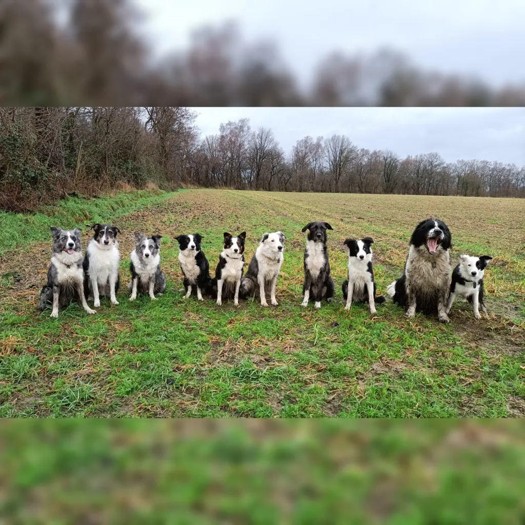 Condolence image of Claudia Pieper