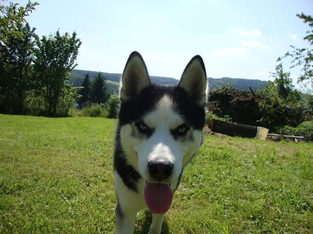 Condolence image of Steffi