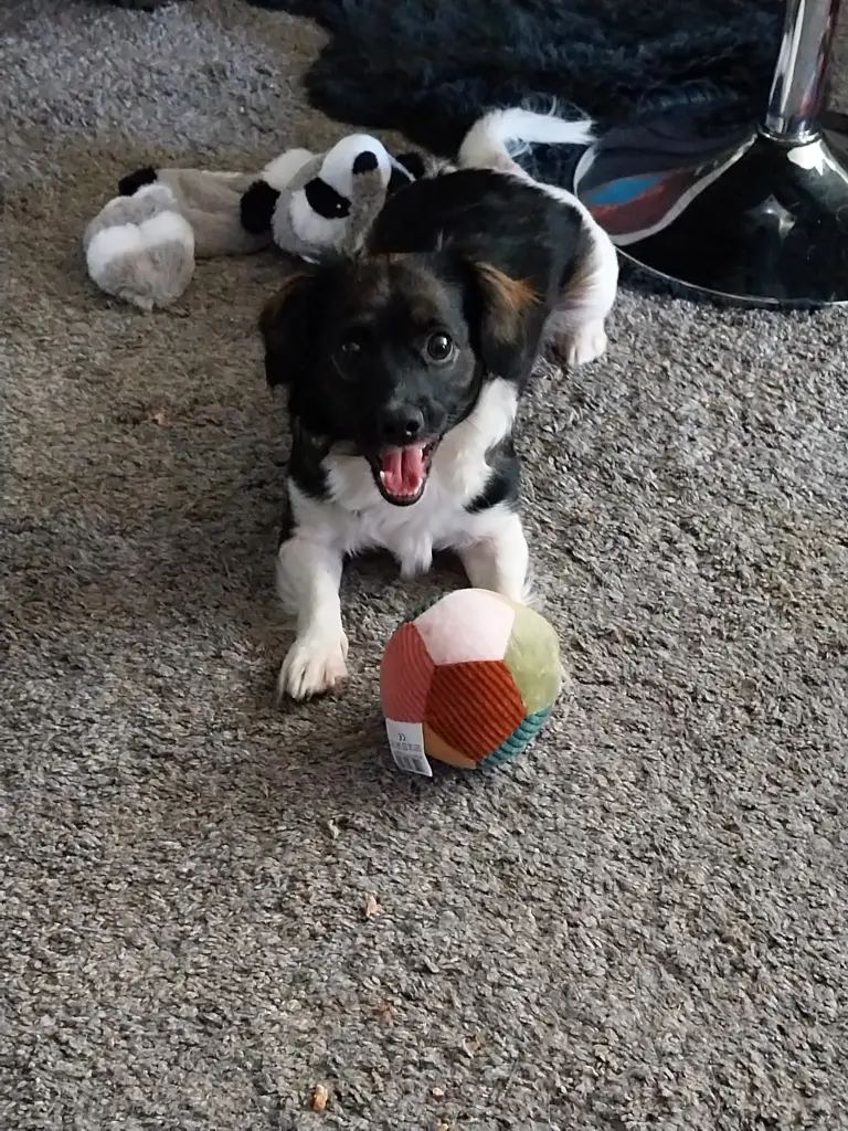 Condolence image of Rainer Mielke