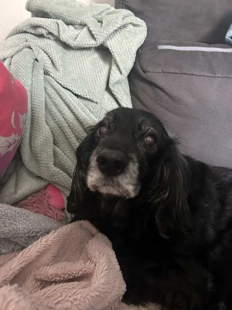 Andachtsbild von Püppi