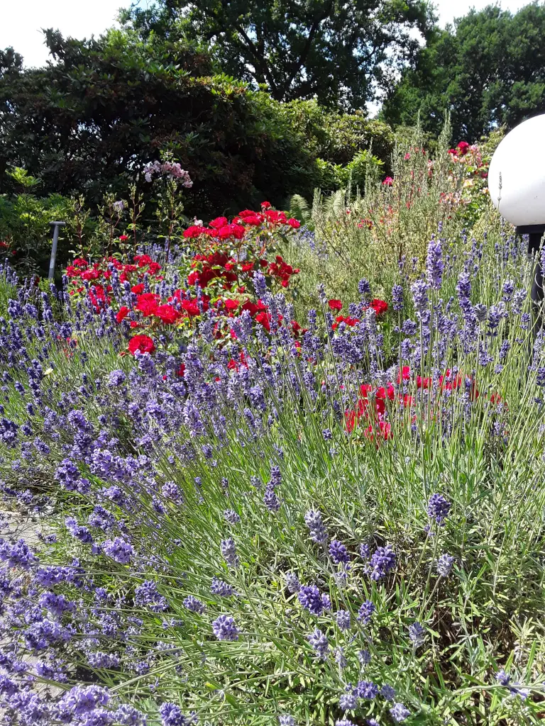 Condolence image of Unbekannt