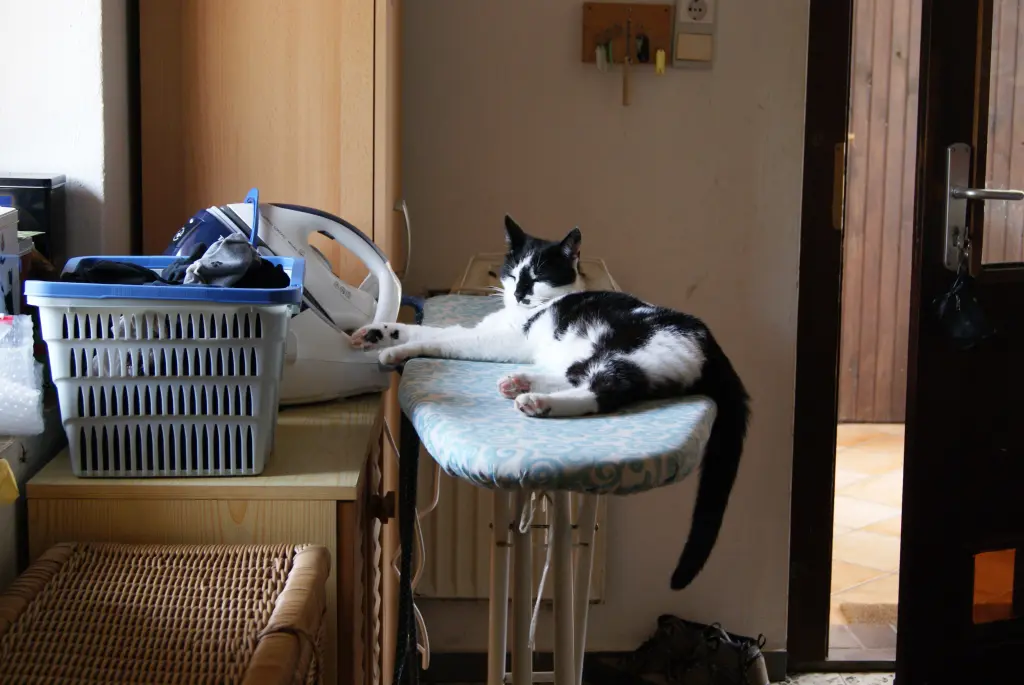 Image from Schnurrli