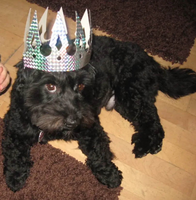 Condolence image of Kristin Jürgens