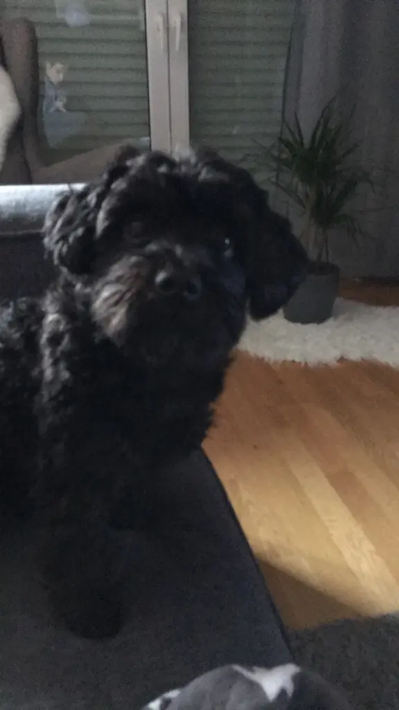 Condolence image of Ben Jürgens