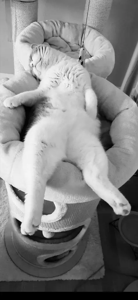 Condolence image of Daniela Wurster