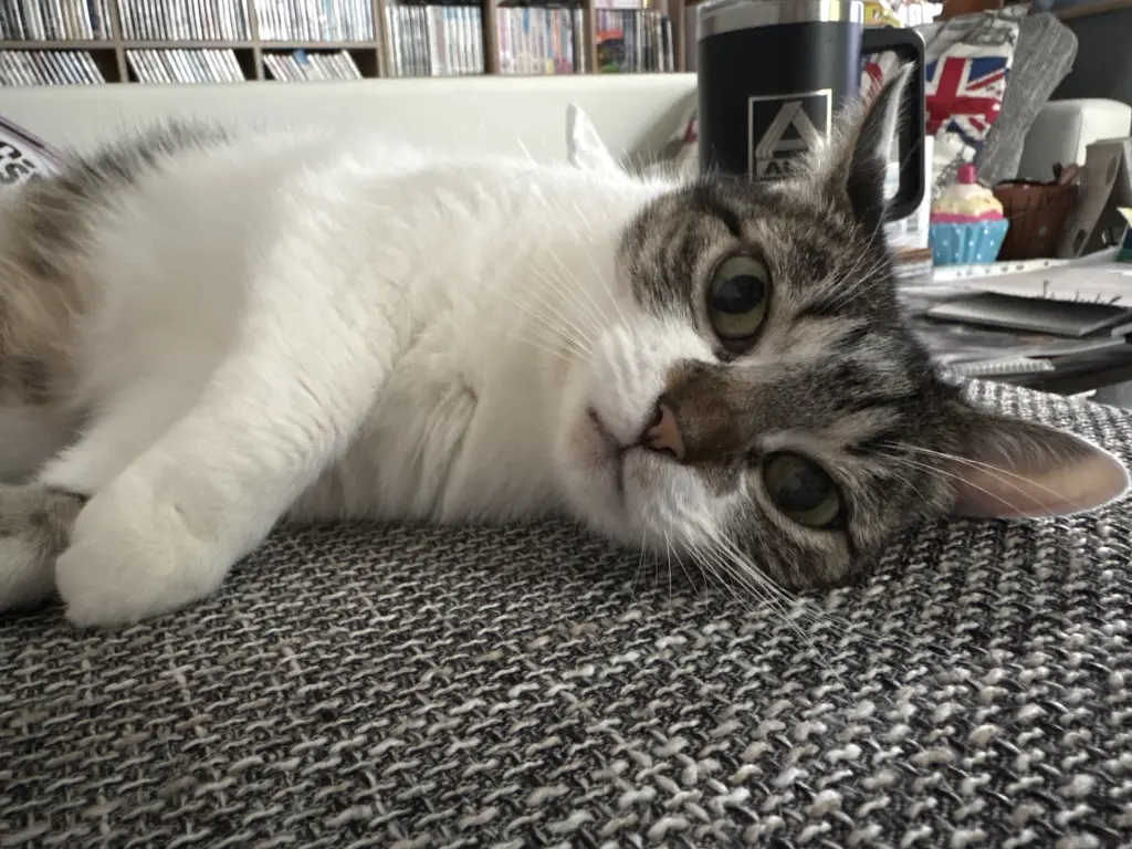 Ausruhen, war die halbe Miete