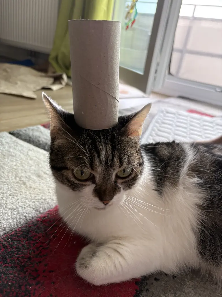 Fotomodell, da du wusstest es gab dann Leckerlies