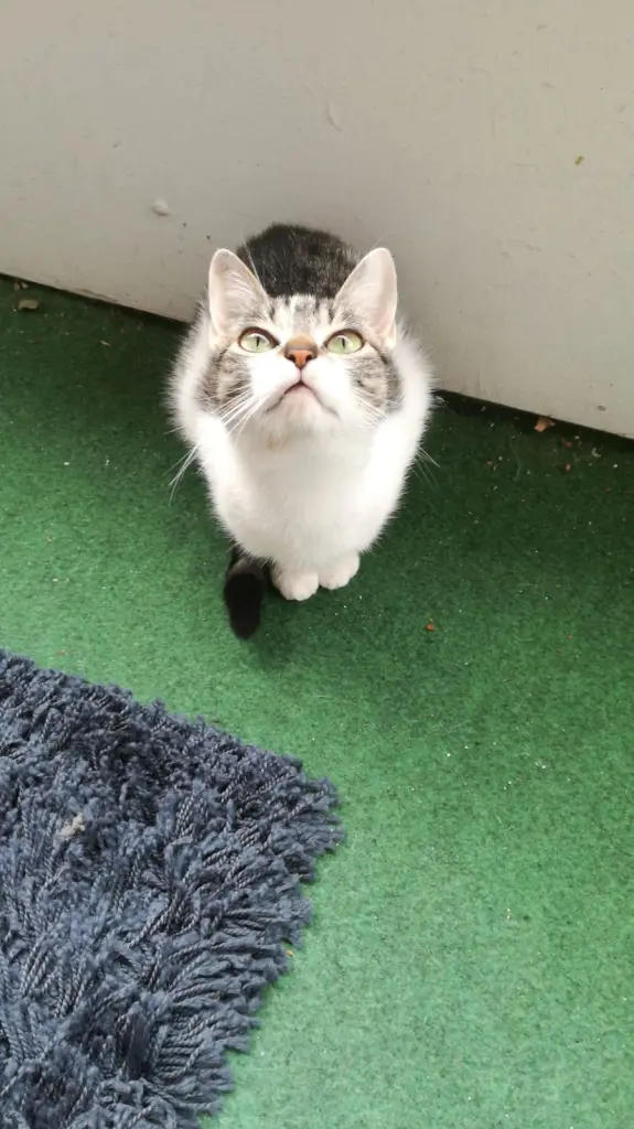 Dein erster Monat bei mir