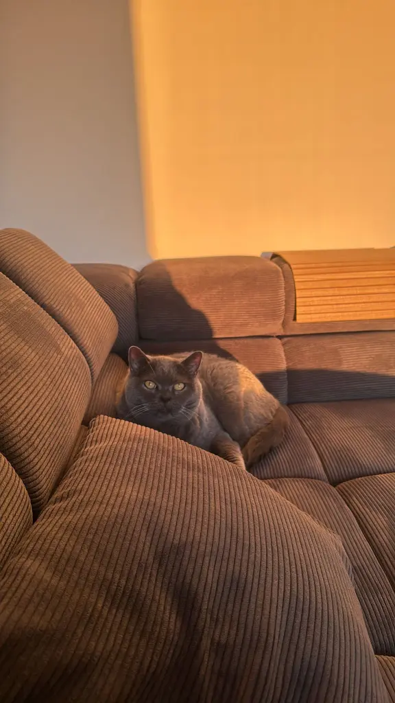 Du hast jeden Raum mit Sonne geflutet