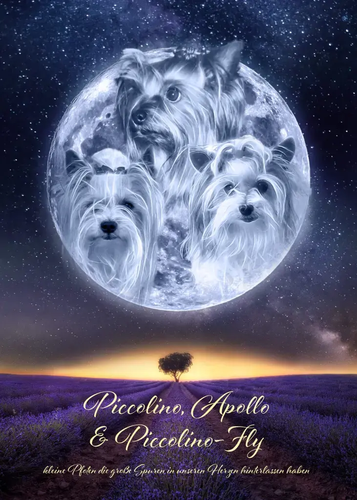 Condolence image of Konny mit Apollo,Piccolino &Piccolino -Fly tief im ❤️