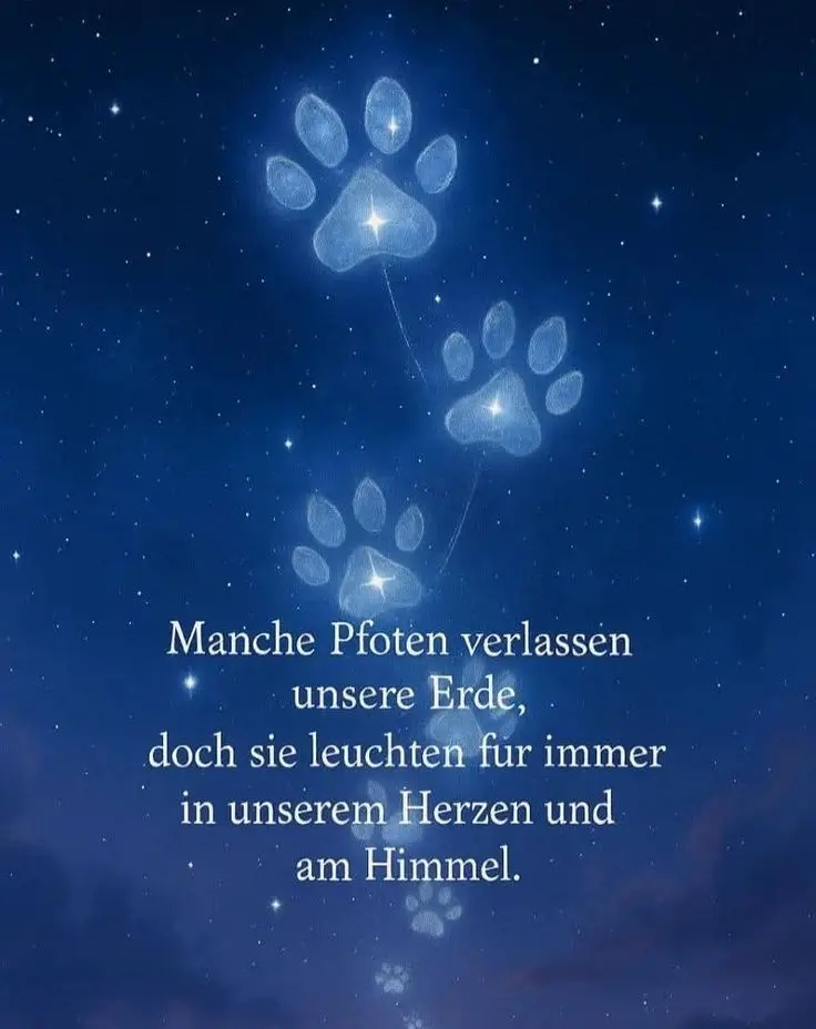Condolence image of Emel