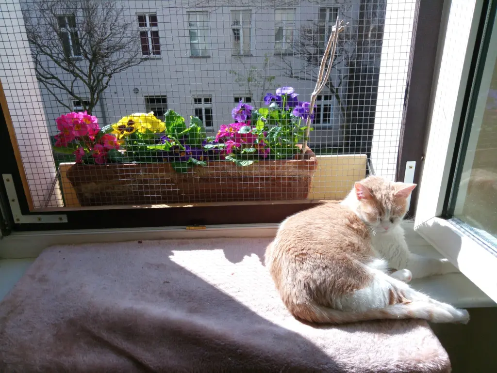 Condolence image of Rosi u Volker