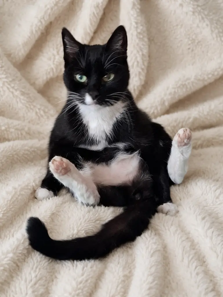 Image from Pünktchen