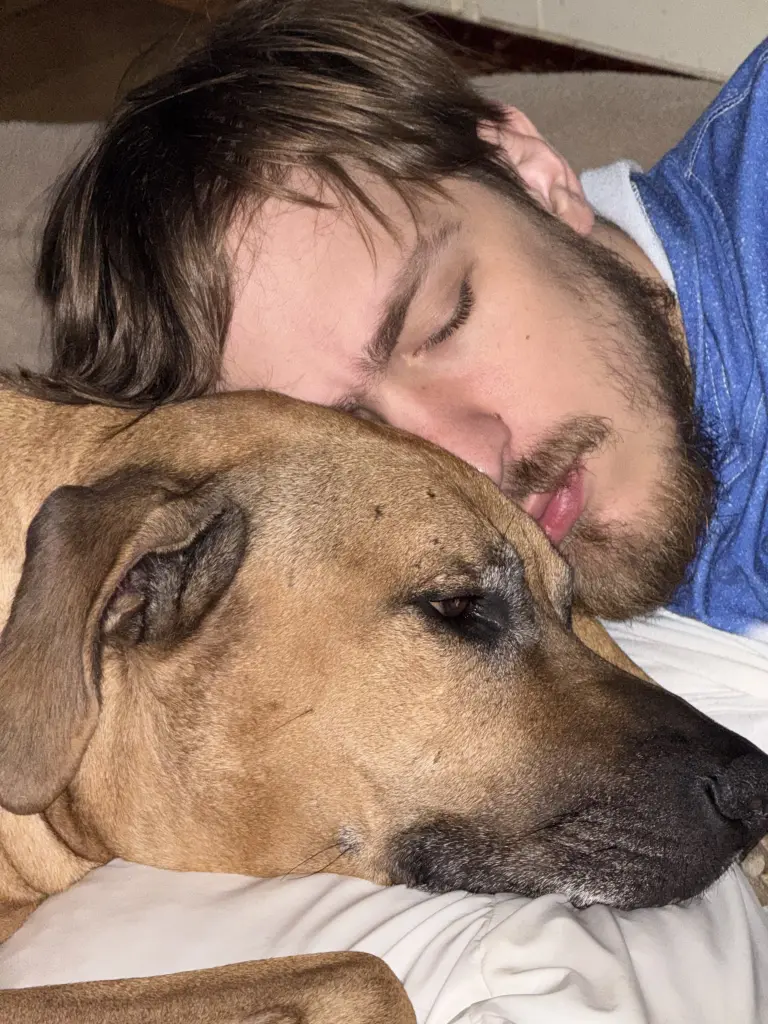 Image from König Luke