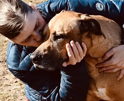 Image from König Luke