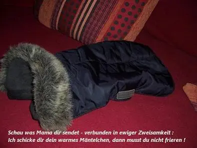 Image from meine Sina , beweint, geliebt und unvergessen