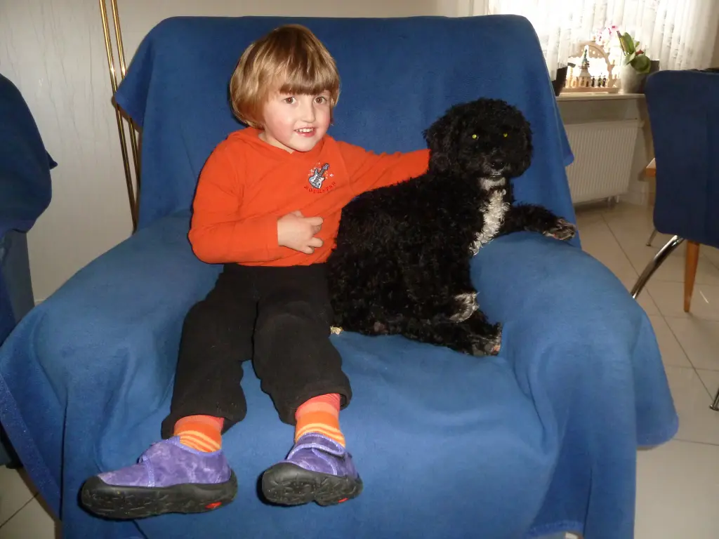 Amado und Hannah 2013