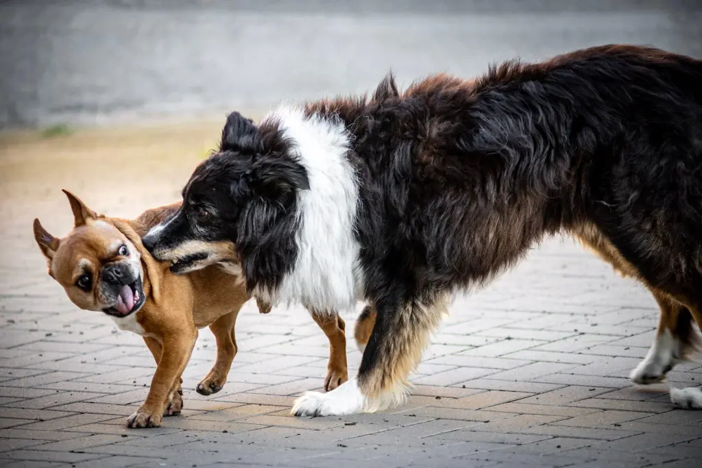 Condolence image of Gina