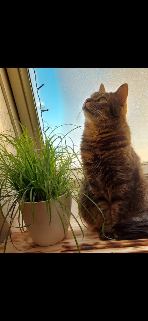 Condolence image of Chantal Lahm