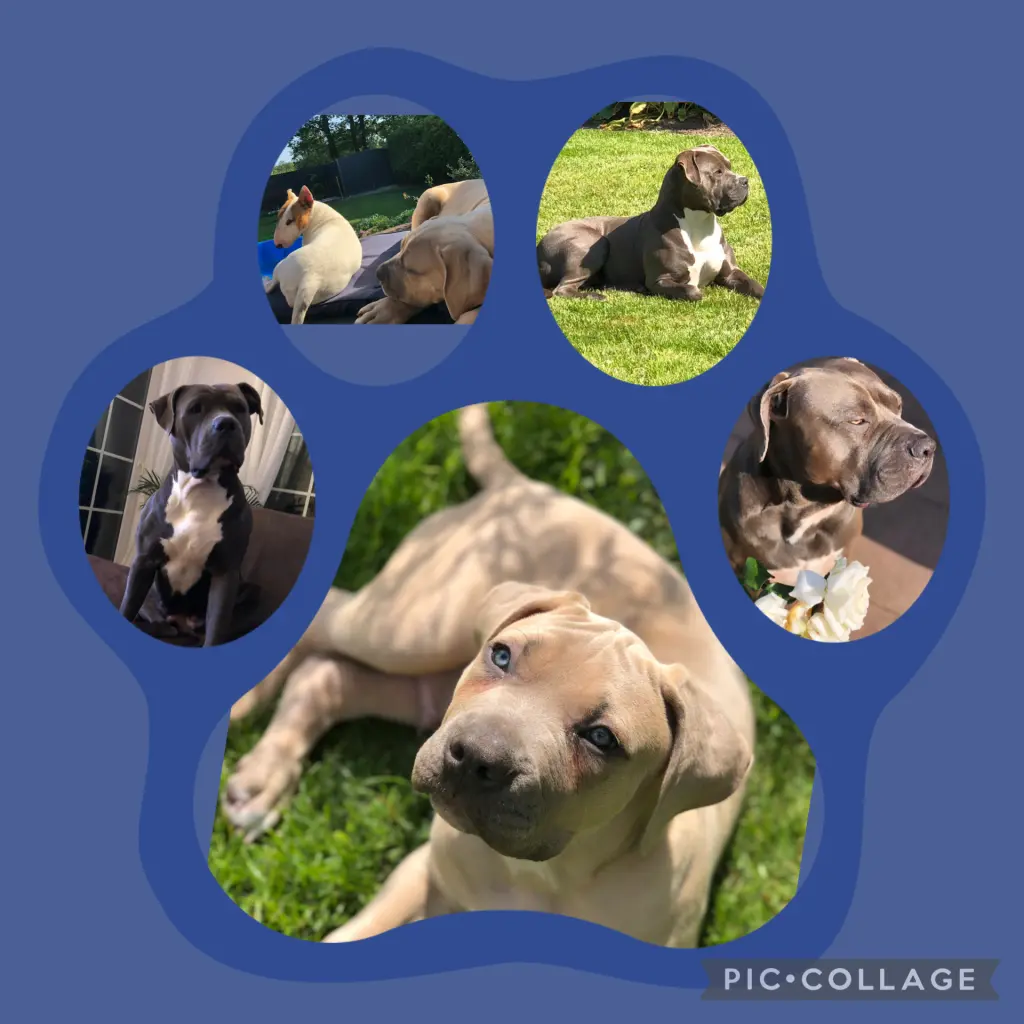 Condolence image of Gabi Brockmann