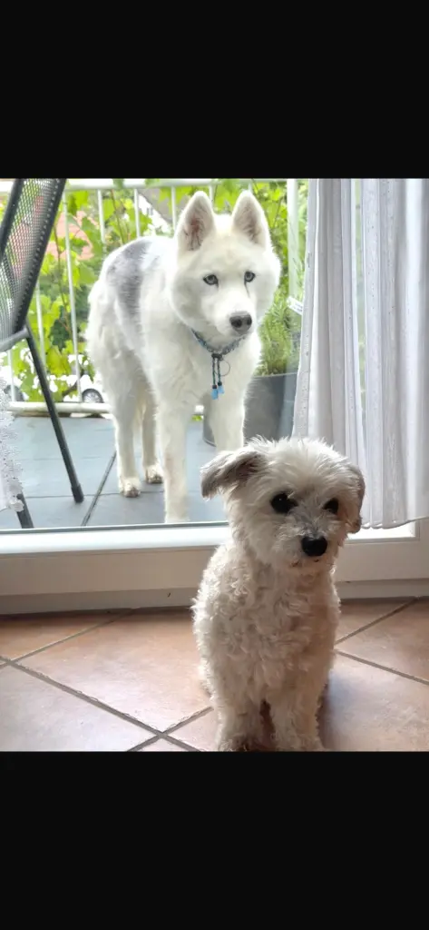 Condolence image of Monika Pollig