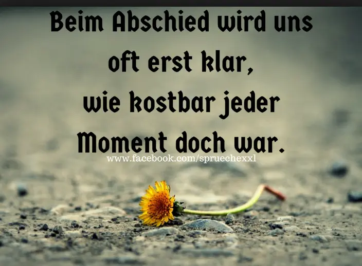 Condolence image of Ira mit Ivy im Herzen