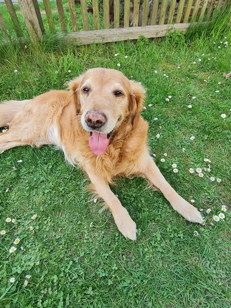 Condolence image of Franziska