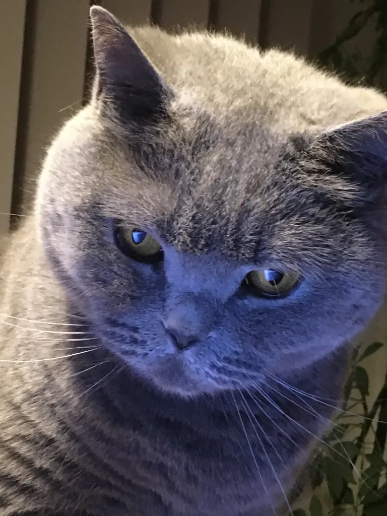 Condolence image of Die 2.Mama