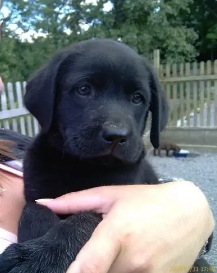 Das erste kennenlernen