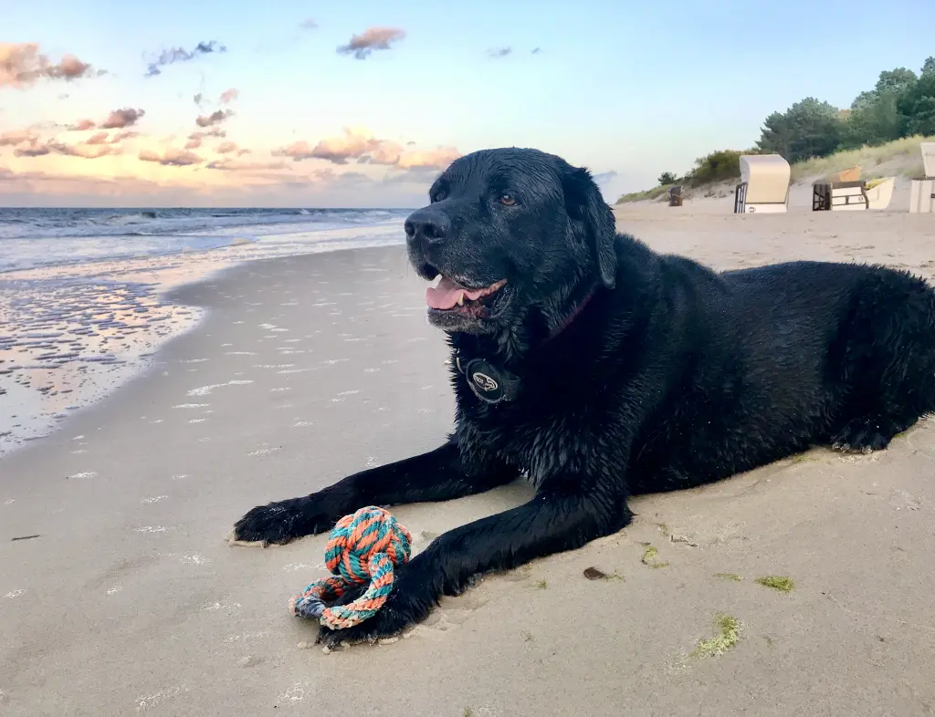 Wasser, dein Element