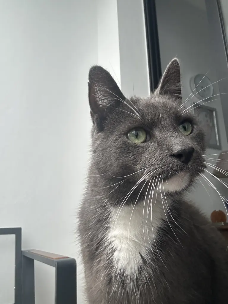 Condolence image of Silvia Rieser