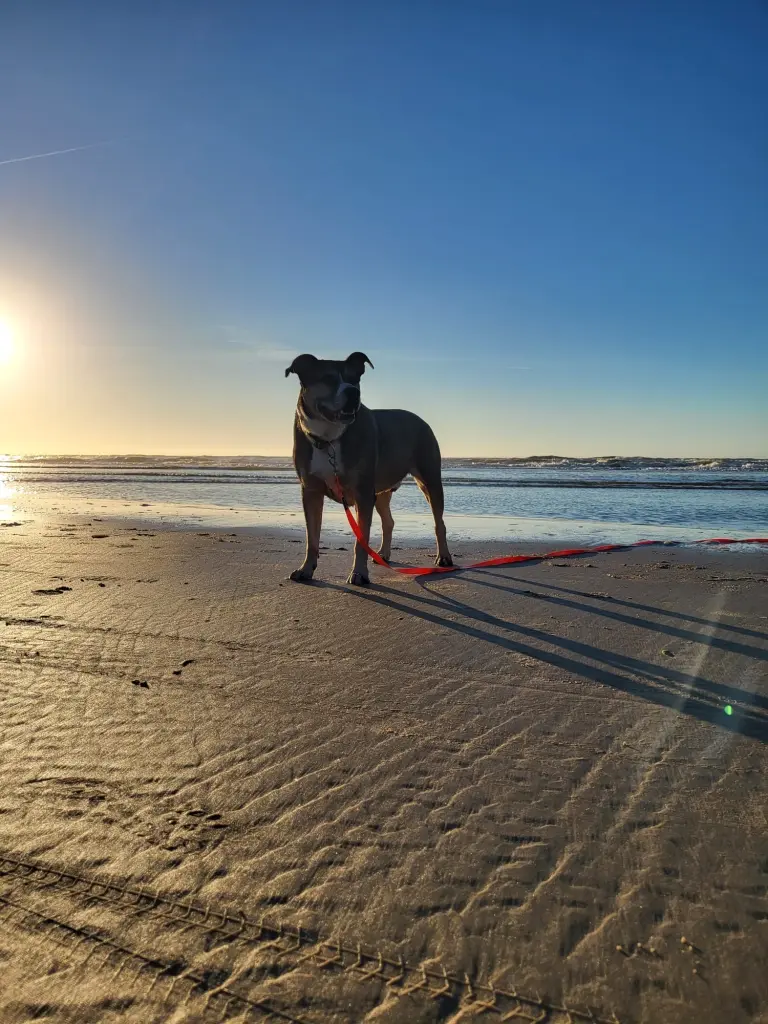 Mein innerer Kompass zeigt immer zur Nordsee.