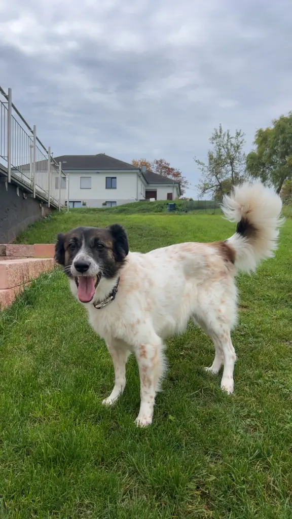 Image from ❤️Ginger❤️