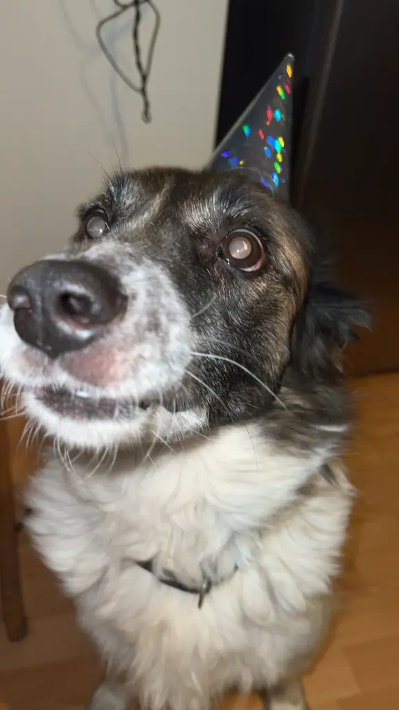 Image from ❤️Ginger❤️