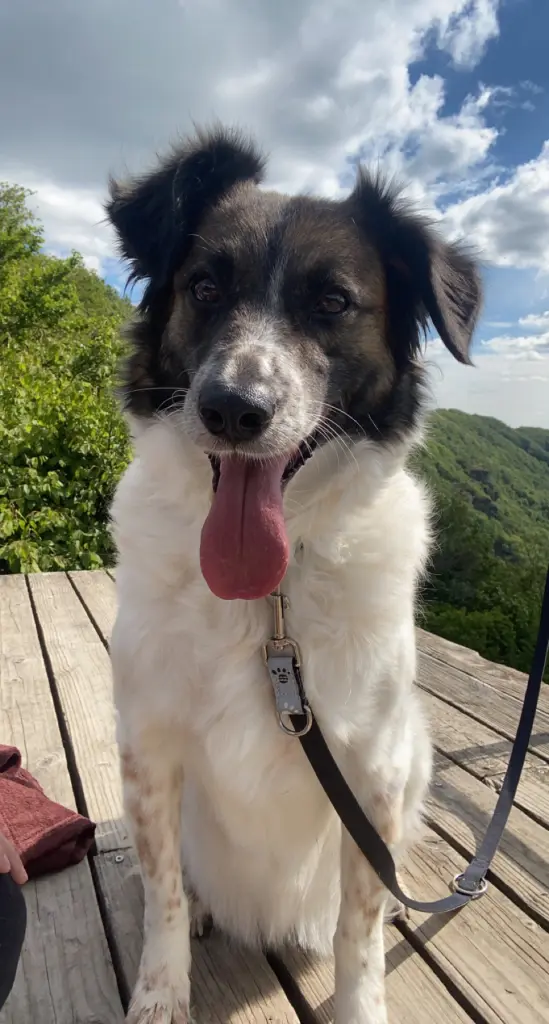 Image from ❤️Ginger❤️