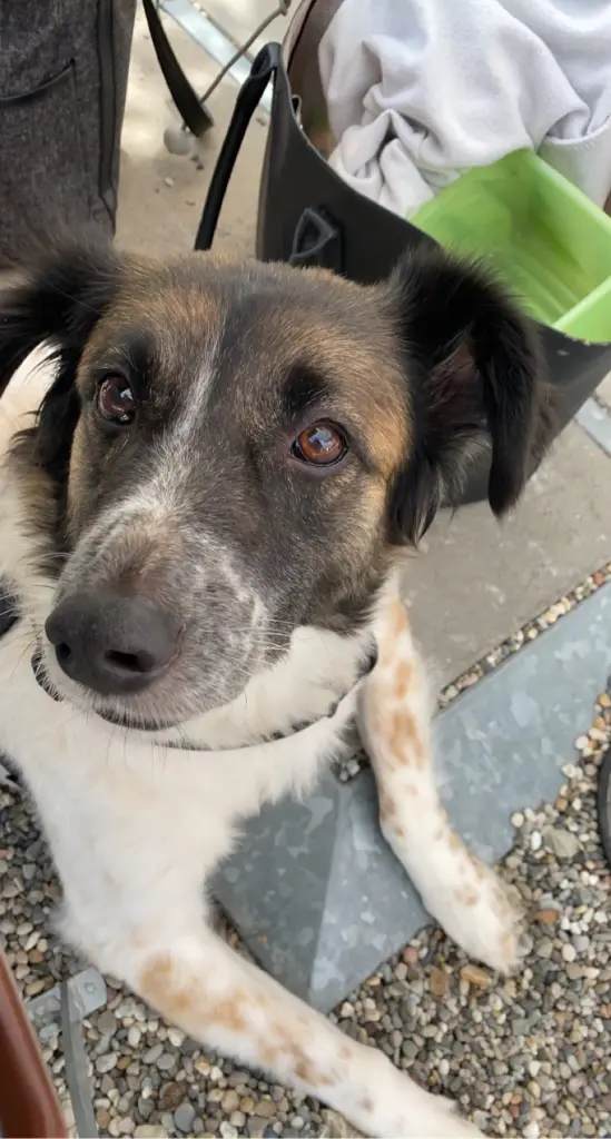 Image from ❤️Ginger❤️